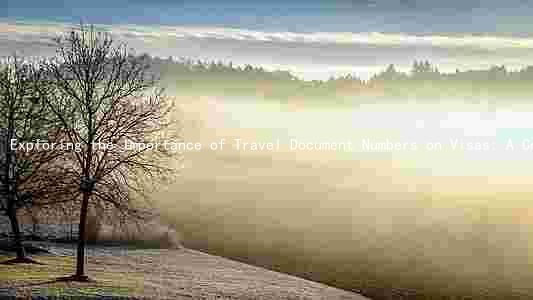Exploring the Importance of Travel Document Numbers on Visas: A Comprehensive Guide