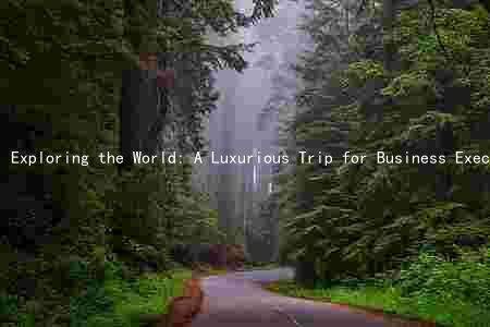 Exploring the World: A Luxurious Trip for Business Executives with a Budget of $500,000 and a Timeline of Two Months