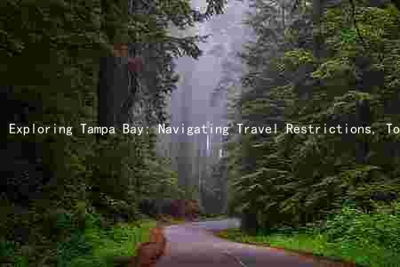 Exploring Tampa Bay: Navigating Travel Restrictions, Top Attractions, COVID-19 Cases, Local Businesses, and Events