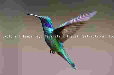 Exploring Tampa Bay: Navigating Travel Restrictions, Top Attractions, COVID-19 Cases, Local Businesses, and Events