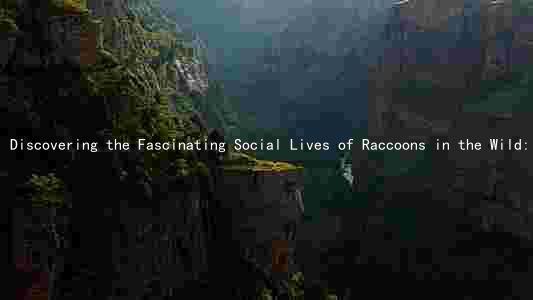 Discovering the Fascinating Social Lives of Raccoons in the Wild: Ecology, Communication, and Interactions