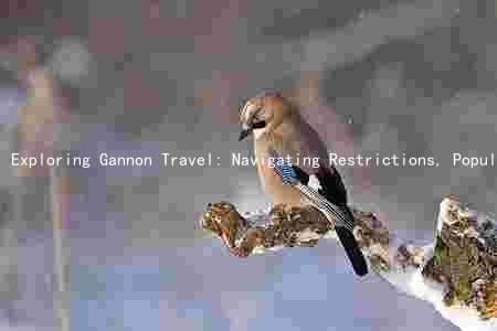 Exploring Gannon Travel: Navigating Restrictions, Popular Destinations, Safety Precautions, Financial Implications, and Technological Advancements