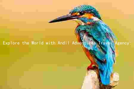 Explore the World with Andil Adventures Travel Agency: Unbeatable Packages, Exceptional Value, and Top-Notch Customer Service